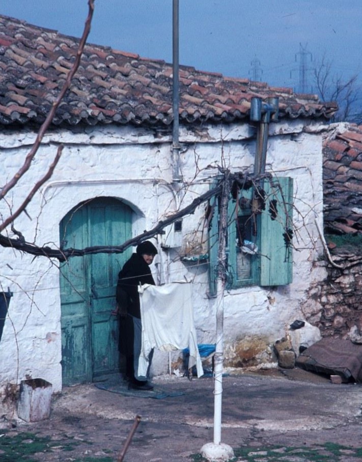 Mazi - 1983
